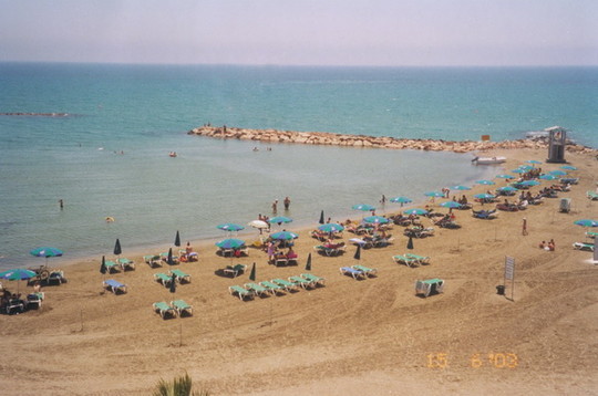 image preview