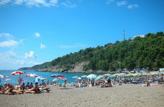 image preview