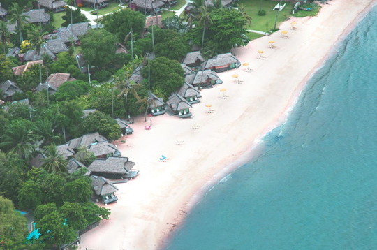 image preview
