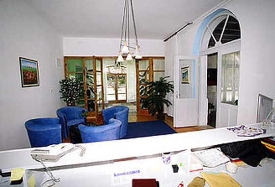 image preview