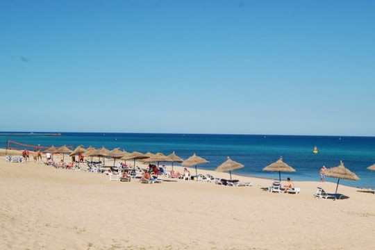 image preview