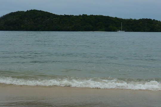 image preview