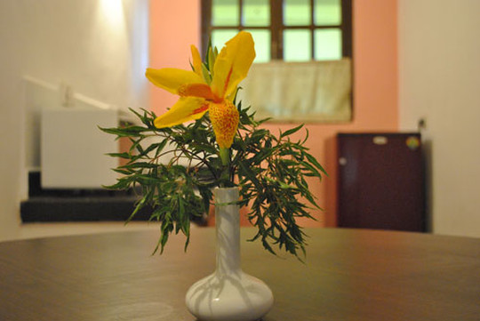 image preview