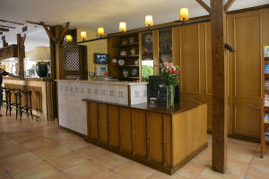image preview