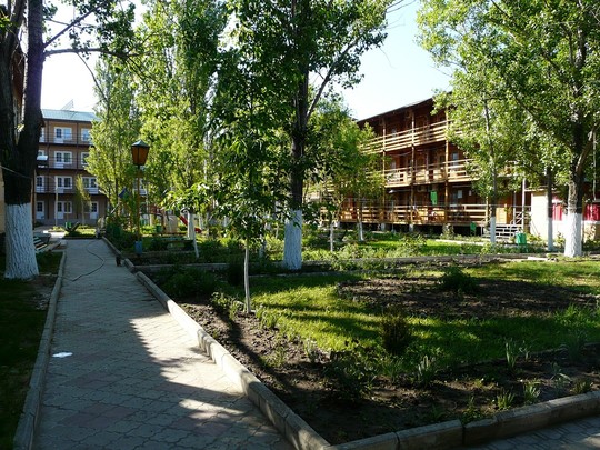 image preview
