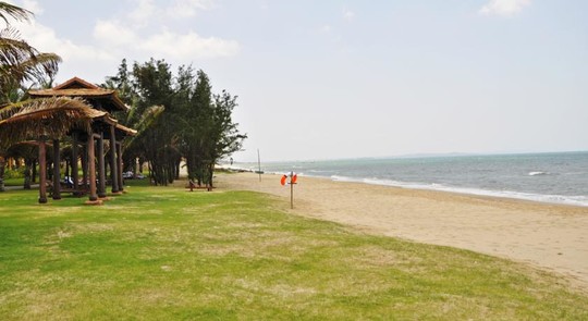 image preview