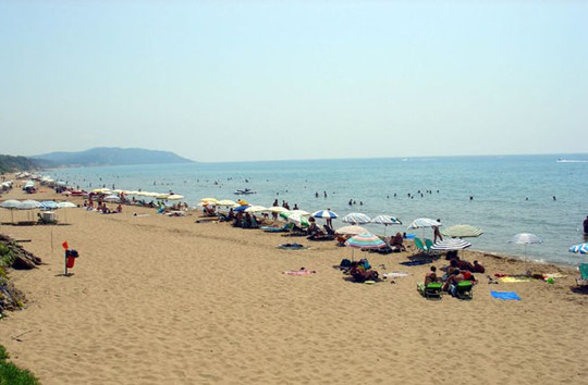 image preview