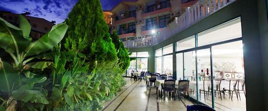 image preview