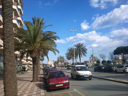 image preview