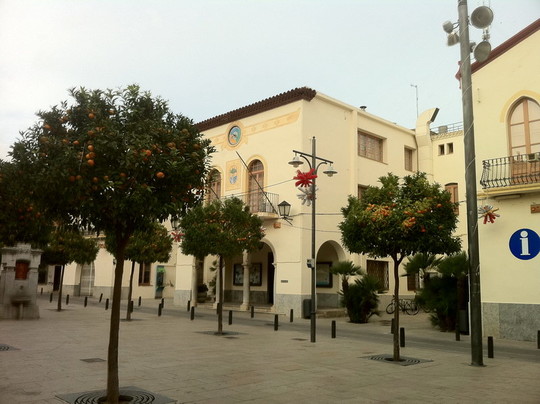 image preview