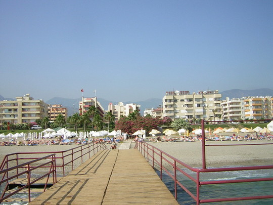 image preview