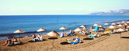 image preview