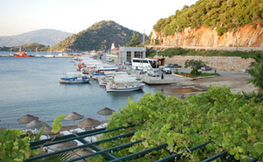 image preview