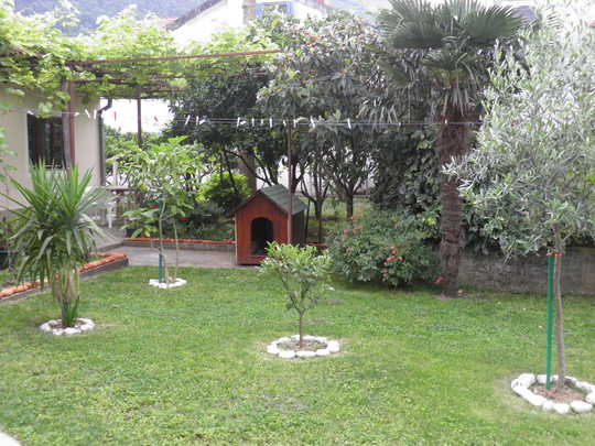 image preview