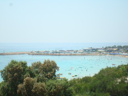 image preview