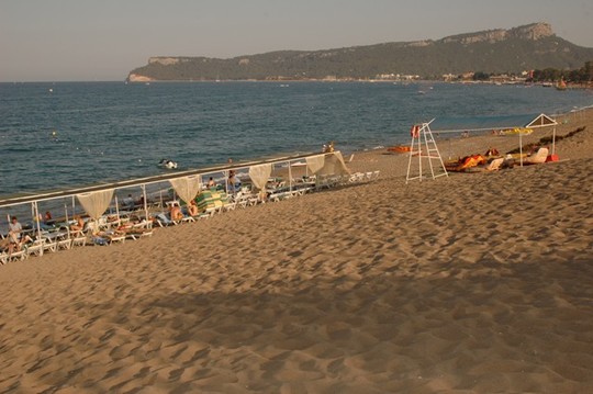 image preview