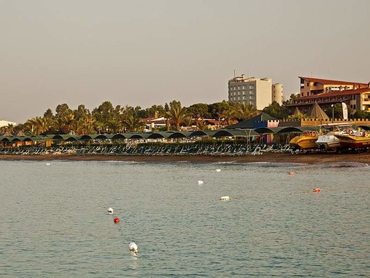 image preview