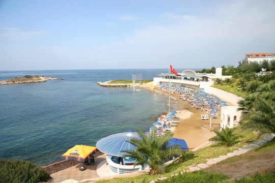 image preview
