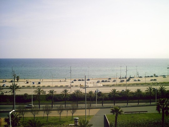 image preview