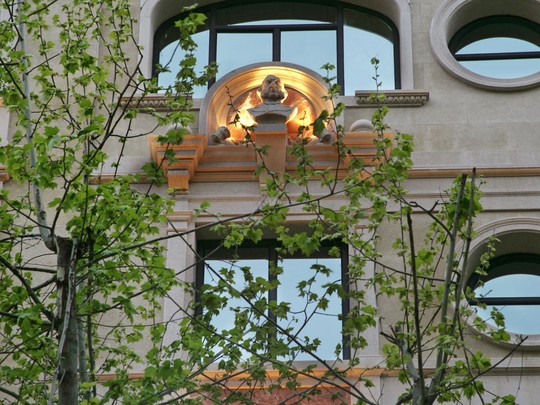 image preview