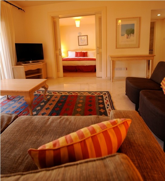 Palm court studio