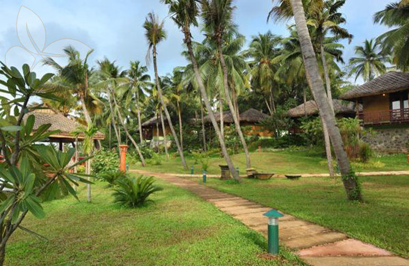 garden and lake