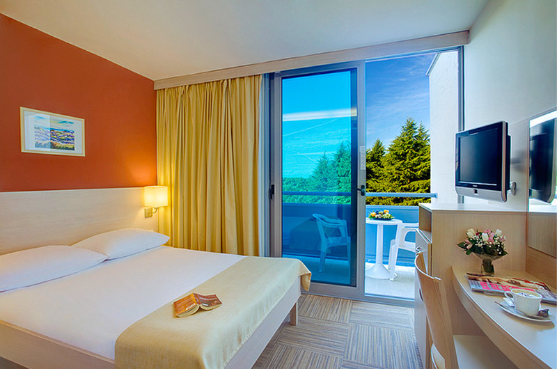 Single Room Park View - 16 m2