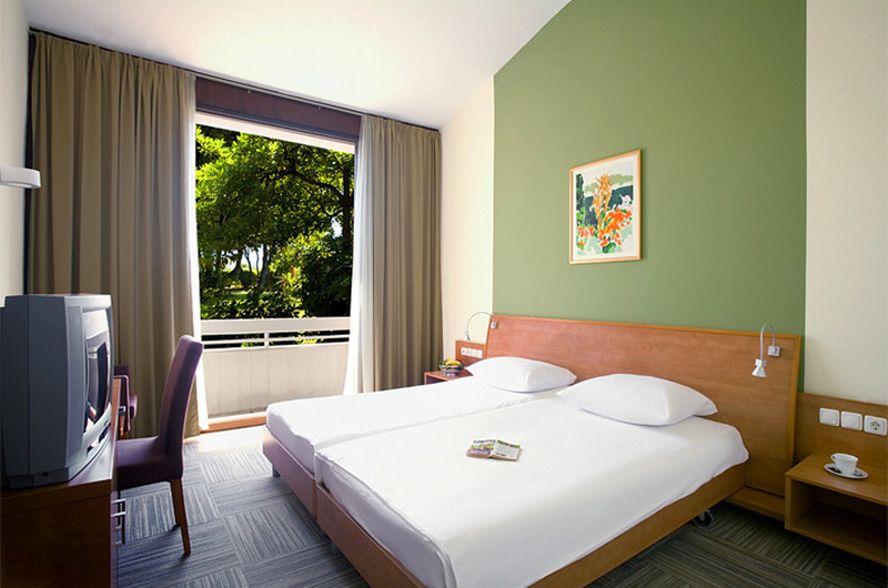 Standard Twin Room Park View