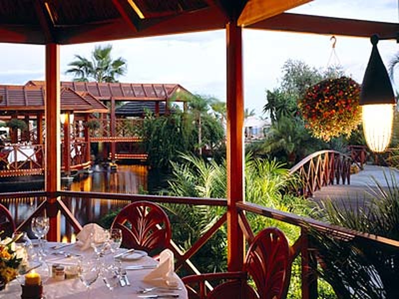 Cafe Tropical       