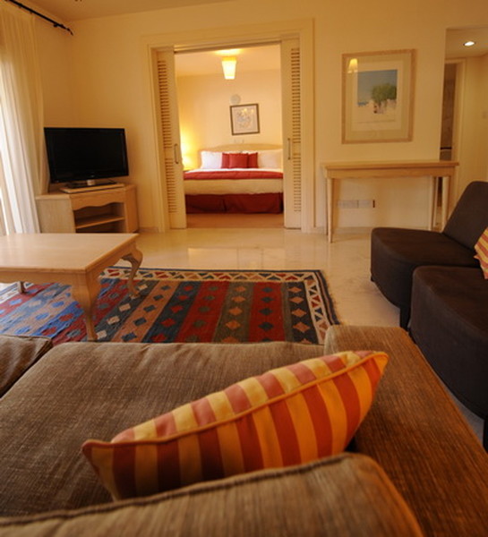 Palm court studio