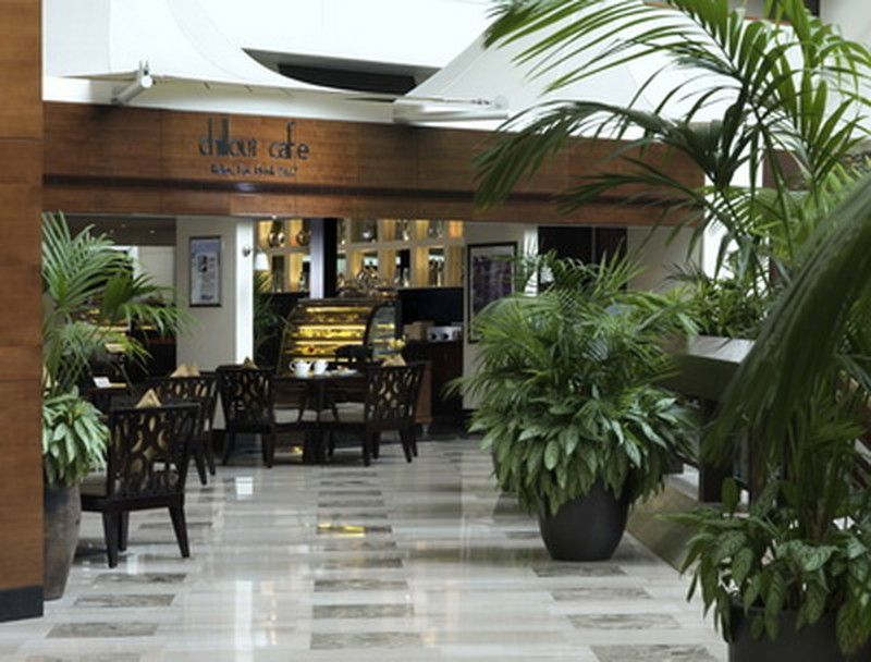 Chill Out Cafe