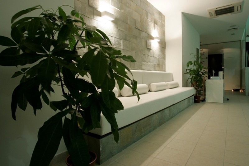 Wellness