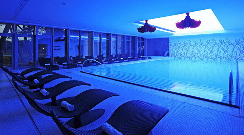 Wellness