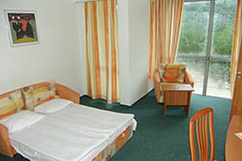 standart room/standart large