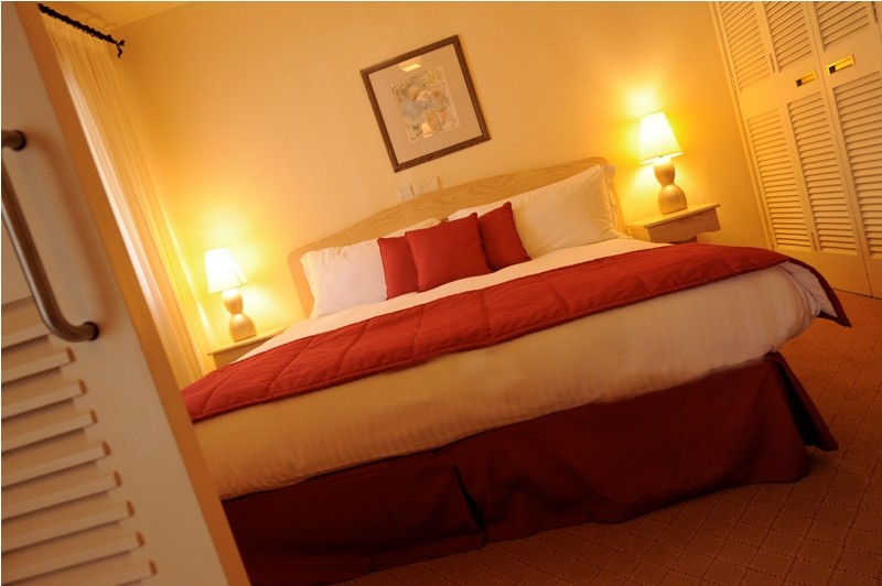 Palm Court studio Bedroom