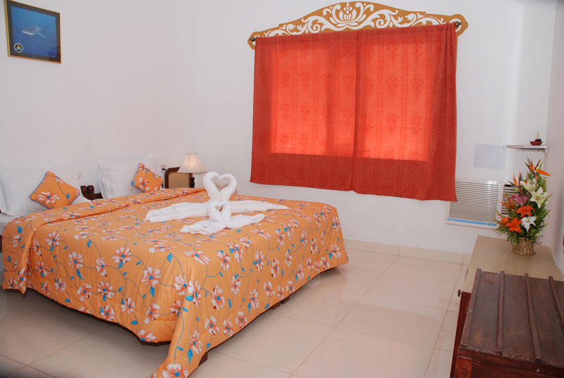 Suite Room