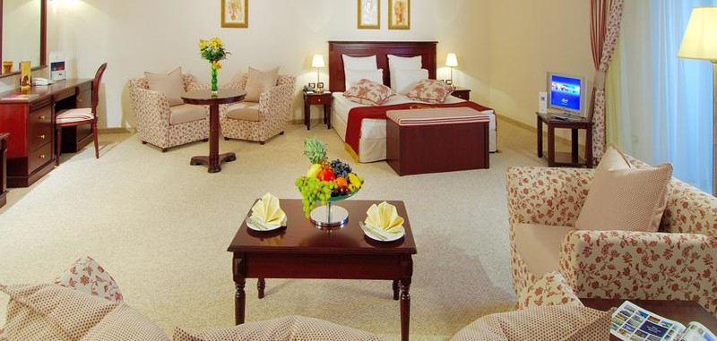 Deluxe suite room