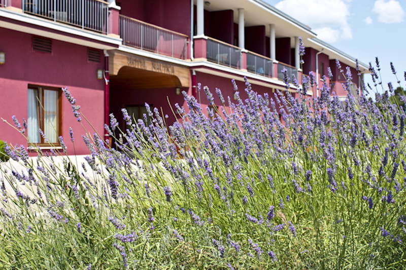 HOTEL OUTSIDE