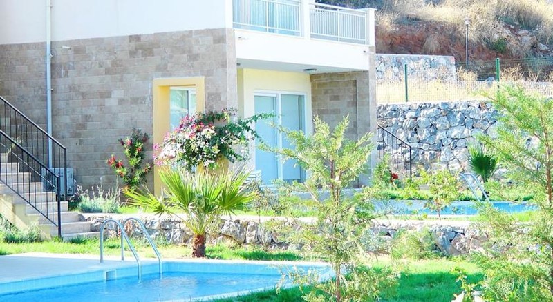 Begonia Villa