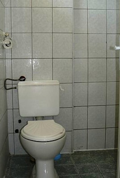 Standard B