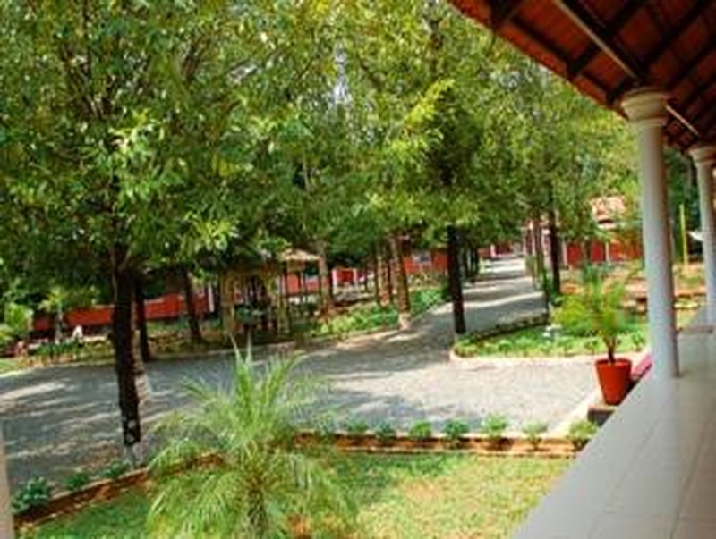 Garden area